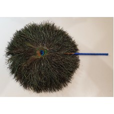 Peacock Feather Fan 1